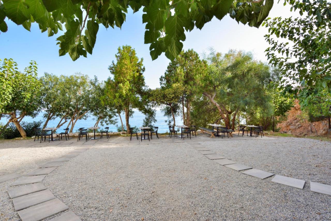 Ilingas Mare Apart otel Khóra Sfakíon Dış mekan fotoğraf